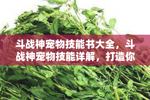 斗战神宠物技能书大全图片