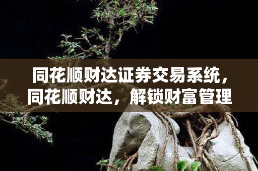 同花顺财达证券交易系统图片