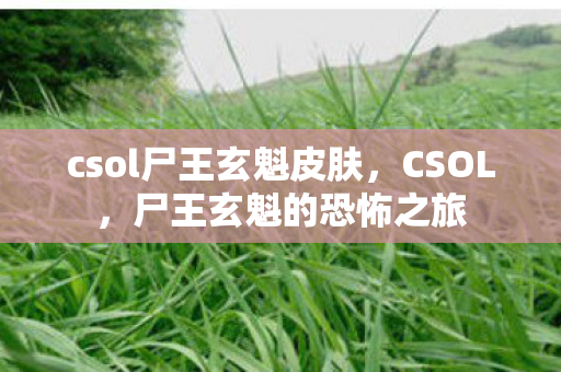 csol尸王玄魁皮肤图片