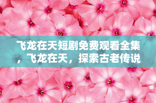 飞龙在天短剧免费观看全集图片