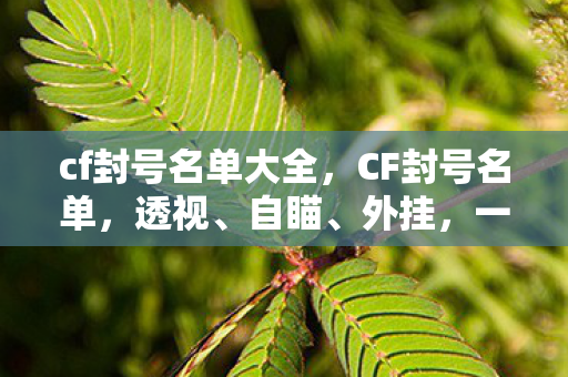 cf封号名单大全图片