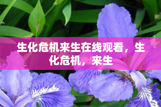 生化危机来生在线观看图片