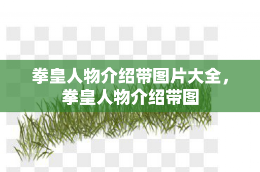 拳皇人物介绍带图片大全图片