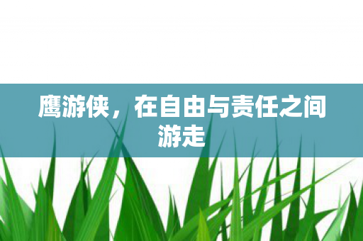 在自由与责任之间游走图片