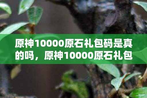 原神10000原石礼包码是真的吗图片