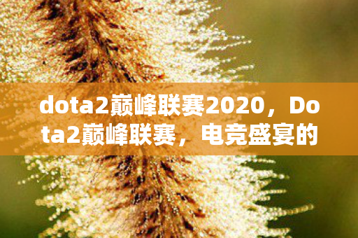 dota2巅峰联赛2020图片