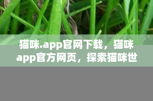 探索猫咪世界的奇妙之旅图片