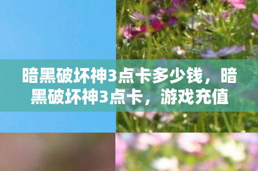 暗黑破坏神3点卡多少钱，暗黑破坏神3点卡，游戏充值与虚拟货币的深度解析