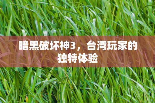 台湾玩家的独特体验图片