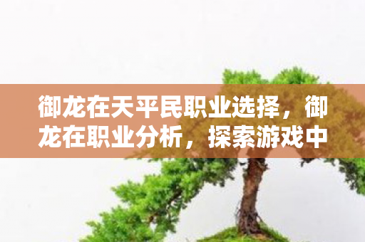探索游戏中的多元角色与策略图片