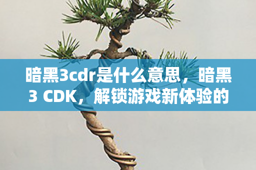 暗黑3cdr是什么意思，暗黑3 CDK，解锁游戏新体验的神秘钥匙