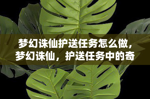 梦幻诛仙护送任务怎么做图片