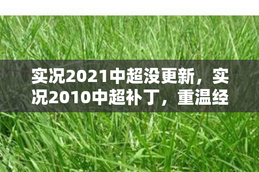 实况2021中超没更新图片