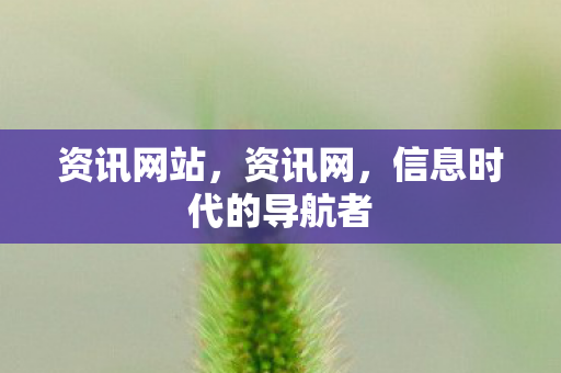 信息时代的导航者图片