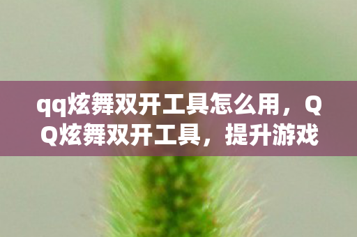 qq炫舞双开工具怎么用图片