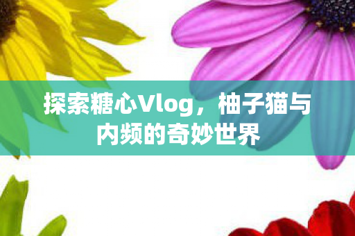 柚子猫与内频的奇妙世界图片