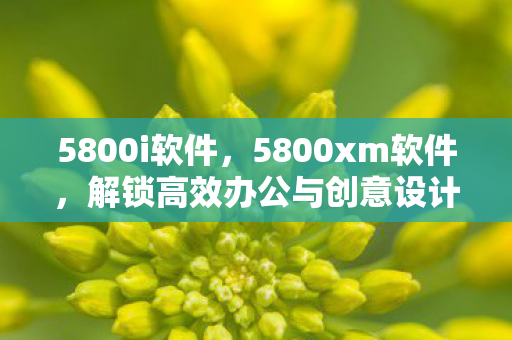 解锁高效办公与创意设计的秘密武器图片