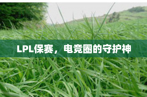 电竞圈的守护神图片