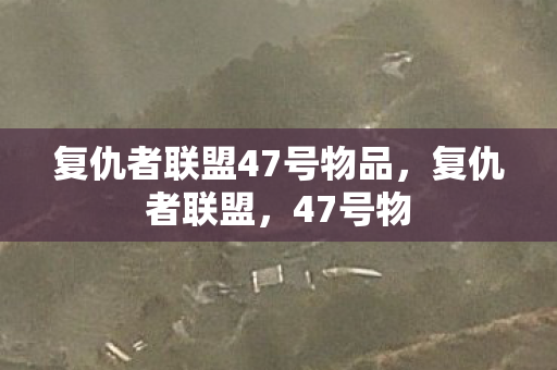 复仇者联盟47号物品图片