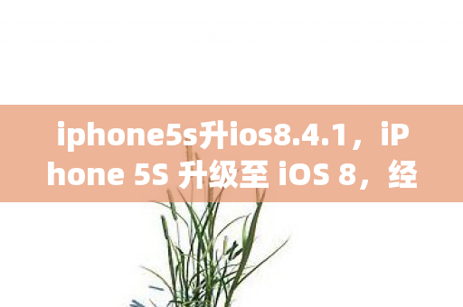 iPhone 5S 升级至 iOS 8图片