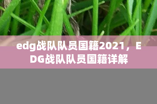 edg战队队员国籍2021图片