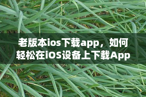 如何轻松在iOS设备上下载App图片