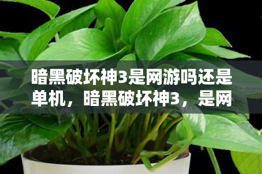 暗黑破坏神3是网游吗还是单机，暗黑破坏神3，是网游还是单机游戏？
