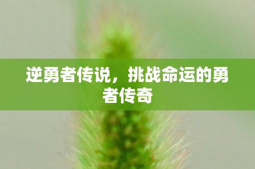 挑战命运的勇者传奇图片