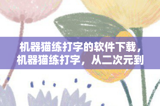 从二次元到现实世界的打字高手图片