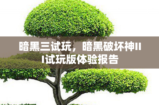 暗黑三试玩，暗黑破坏神III试玩版体验报告