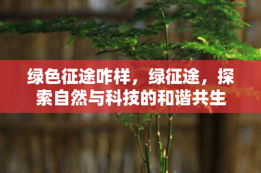 探索自然与科技的和谐共生图片