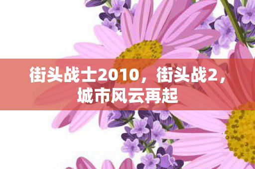 街头战士2010图片