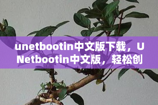 unetbootin中文版下载图片