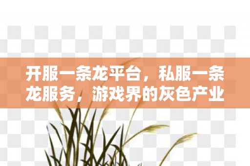 游戏界的灰色产业链图片