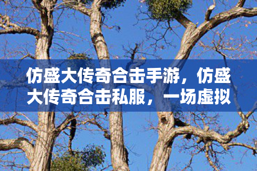 一场虚拟世界的冒险与探索图片