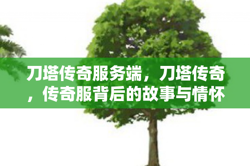 传奇服背后的故事与情怀图片