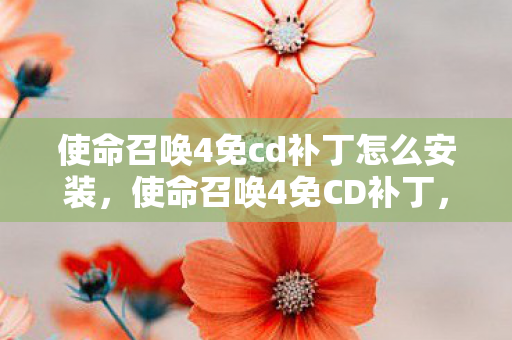 使命召唤4免cd补丁怎么安装图片