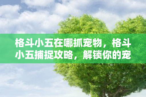 格斗小五在哪抓宠物图片