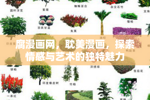 探索情感与艺术的独特魅力图片