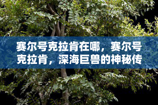 深海巨兽的神秘传说图片