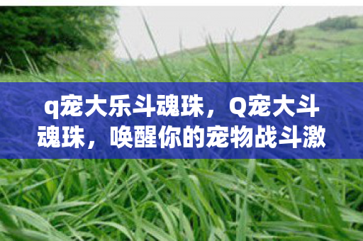 唤醒你的宠物战斗激情图片