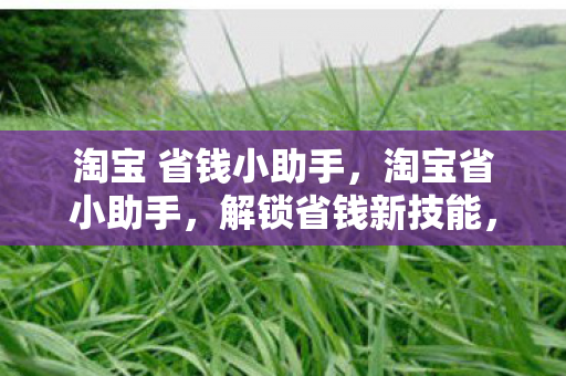 淘宝 省钱小助手图片