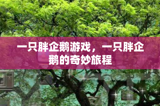 一只胖企鹅的奇妙旅程图片