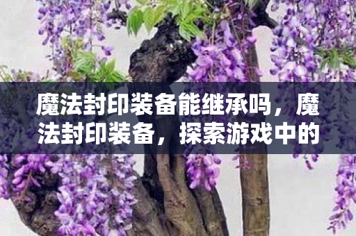 魔法封印装备能继承吗图片