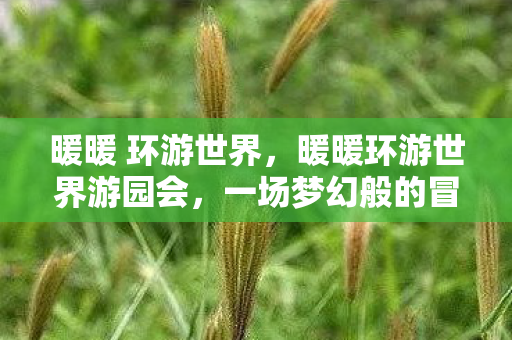 一场梦幻般的冒险之旅图片