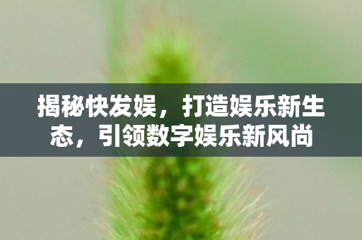 引领数字娱乐新风尚图片