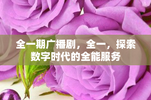 探索数字时代的全能服务图片