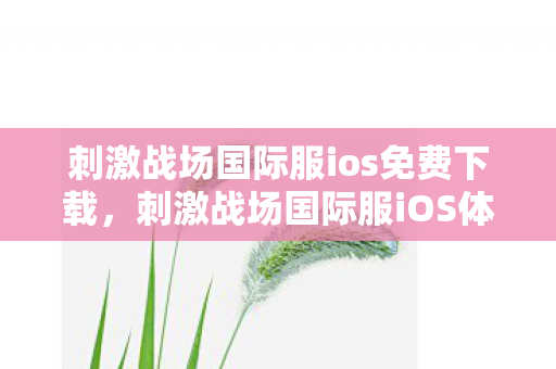 刺激战场国际服ios免费下载图片