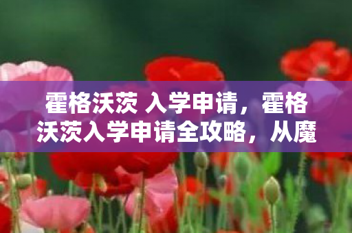 从魔法世界的新生到巫师之路图片