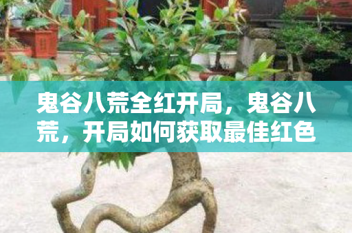 开局如何获取最佳红色天赋图片